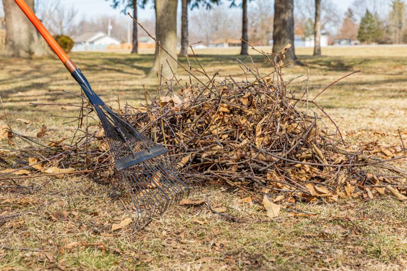 Removing Leaves from Lawn Edges