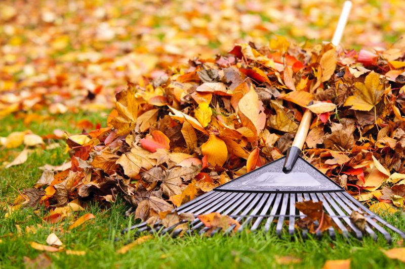 Mowed Lawn with Fallen Leaves