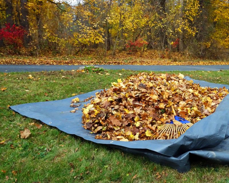 Autumn Lawn Cleanup