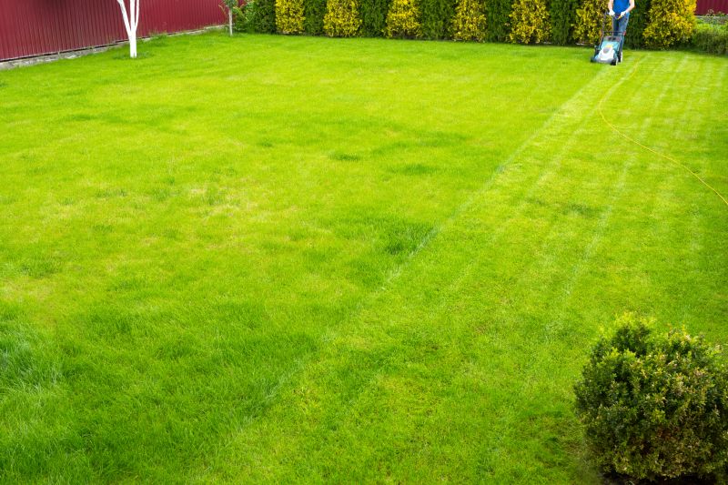 Commercial Lawn Maintenance