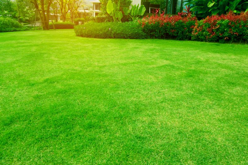 Commercial Lawn Maintenance
