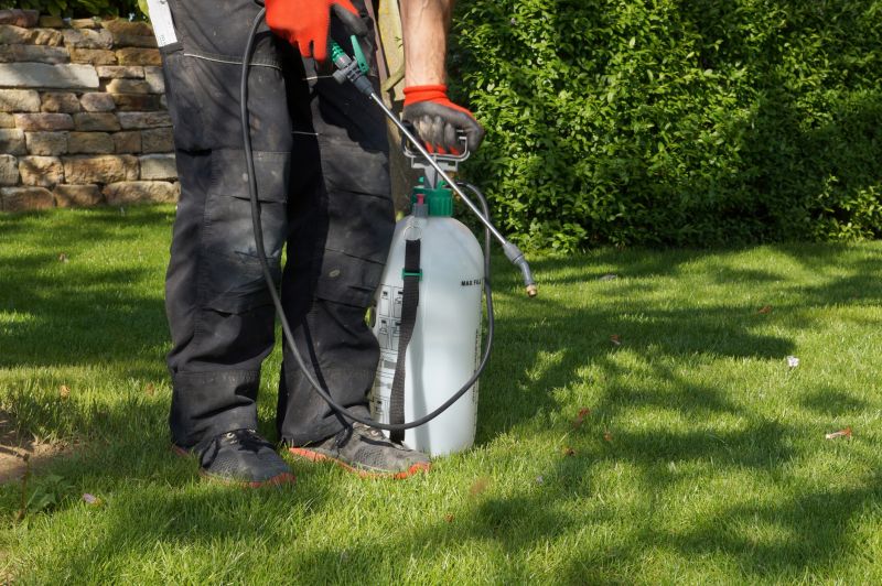 Pampas Grass Control in Rockwall, TX