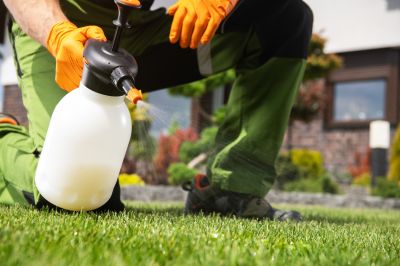 Thistle Treatment in Rockwall, TX