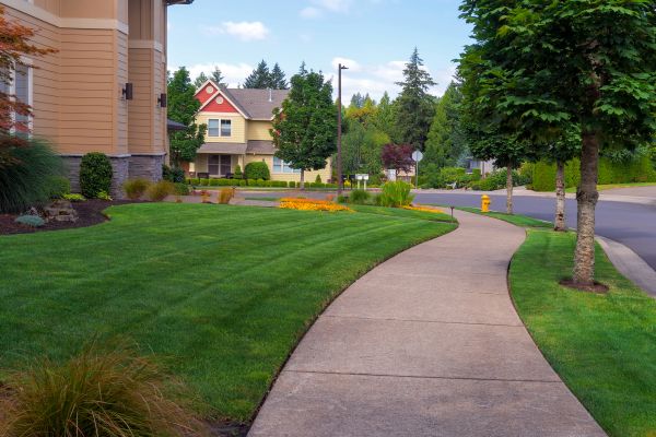 Home Lawn Maintenance - Home Lawn Maintenance Englewood, Colorado