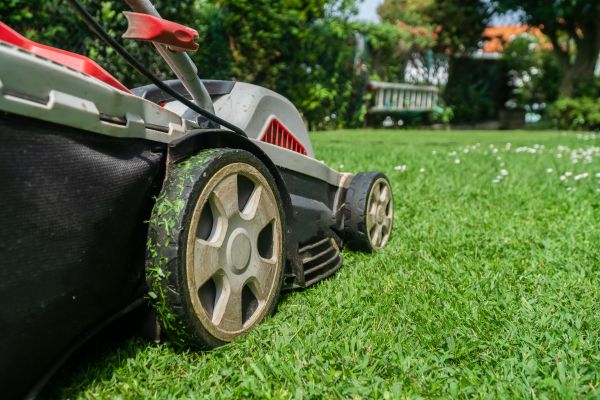Seasonal Lawn Mowing